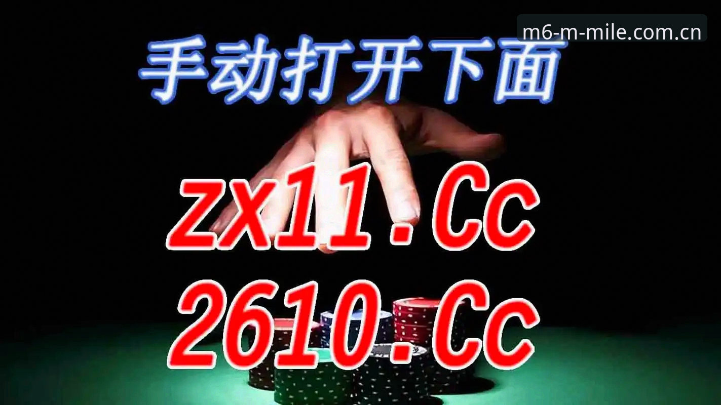 M6米乐平台活动详解：新版App与实用功能全介绍